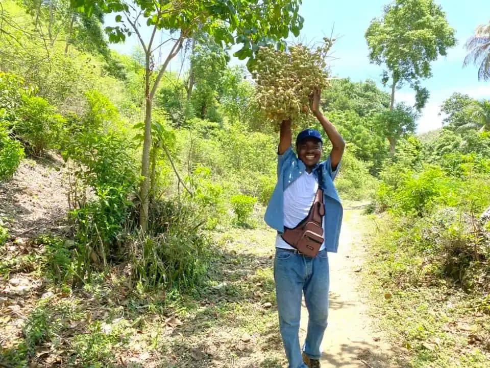 Image for Native Forests Employ Waxy, Hairy Leaf Surfaces for Drought Resilience, Terraformation Highlights