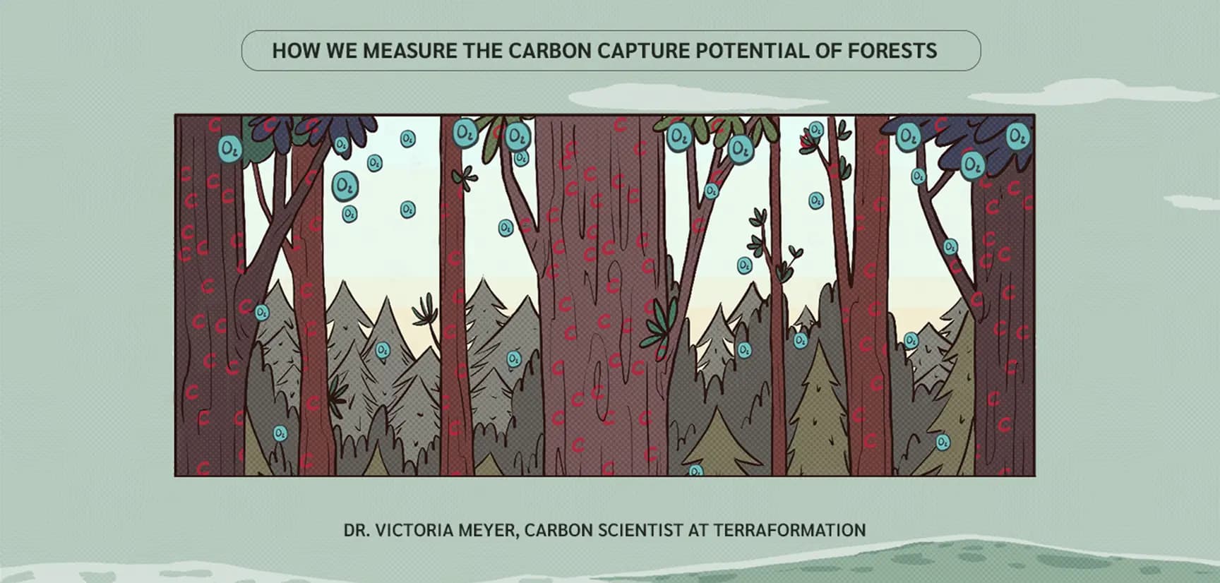 Image for Reforestation Identified as Key to Capturing Up to 30% of Carbon Needed for 1.5°C Target
