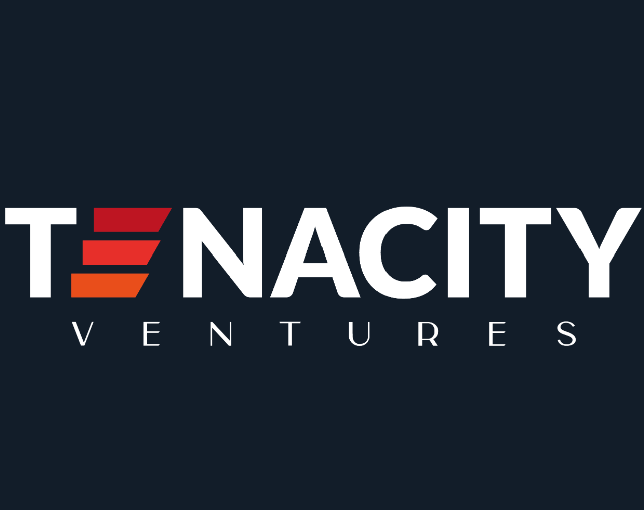 Image for Tenacity Ventures: 10 Key Things You Must Know