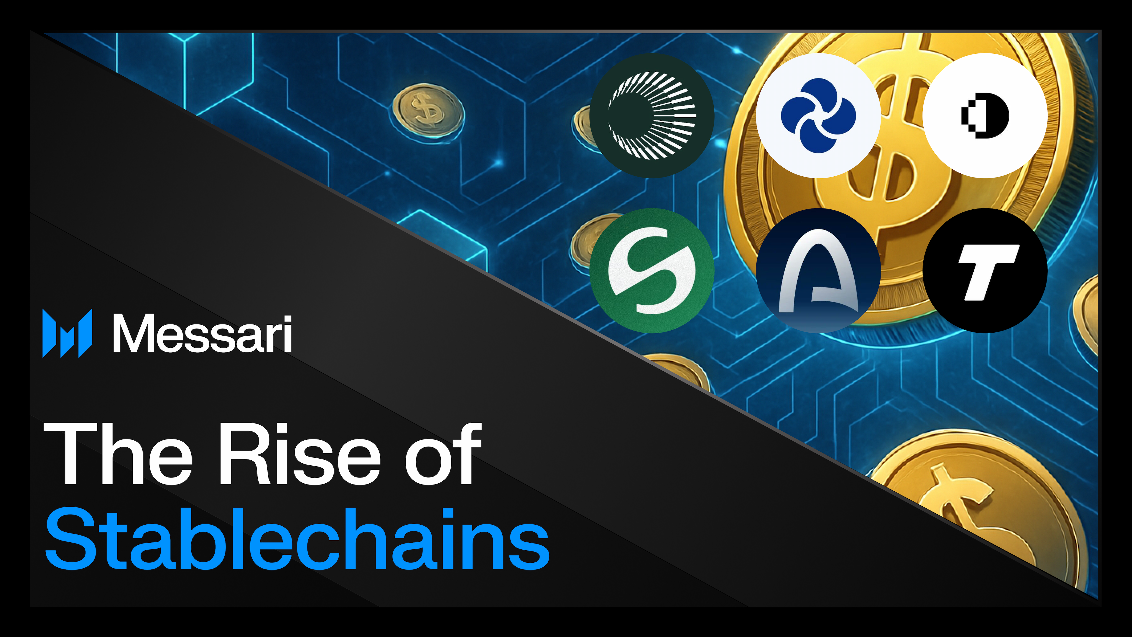 Image for Circle's Arc and Competitors Vie for Dominance in Emerging Stablechain Sector