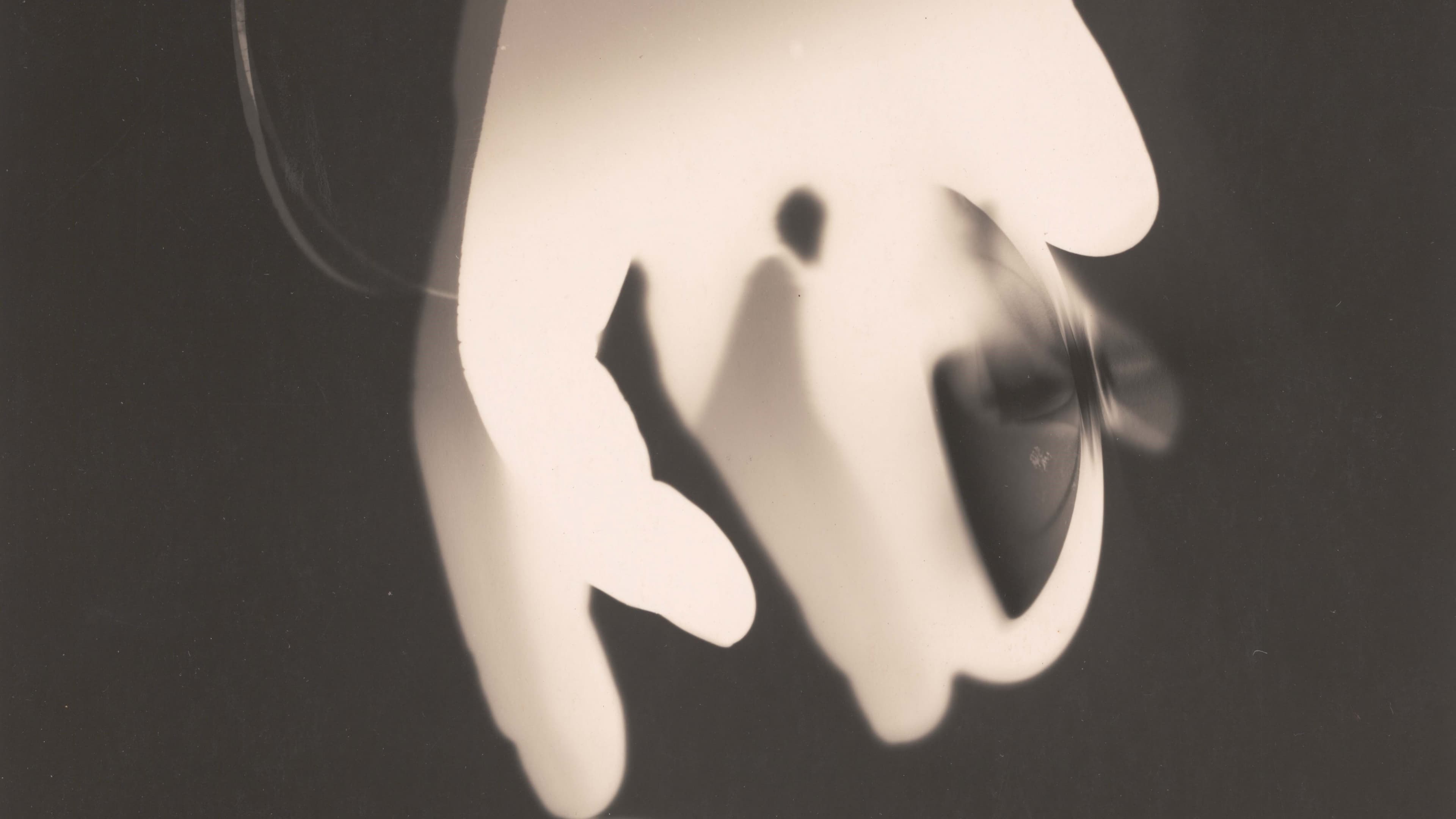 Image for Met Exhibition Explores Man Ray's Transformative Rayographs and Multifaceted Legacy