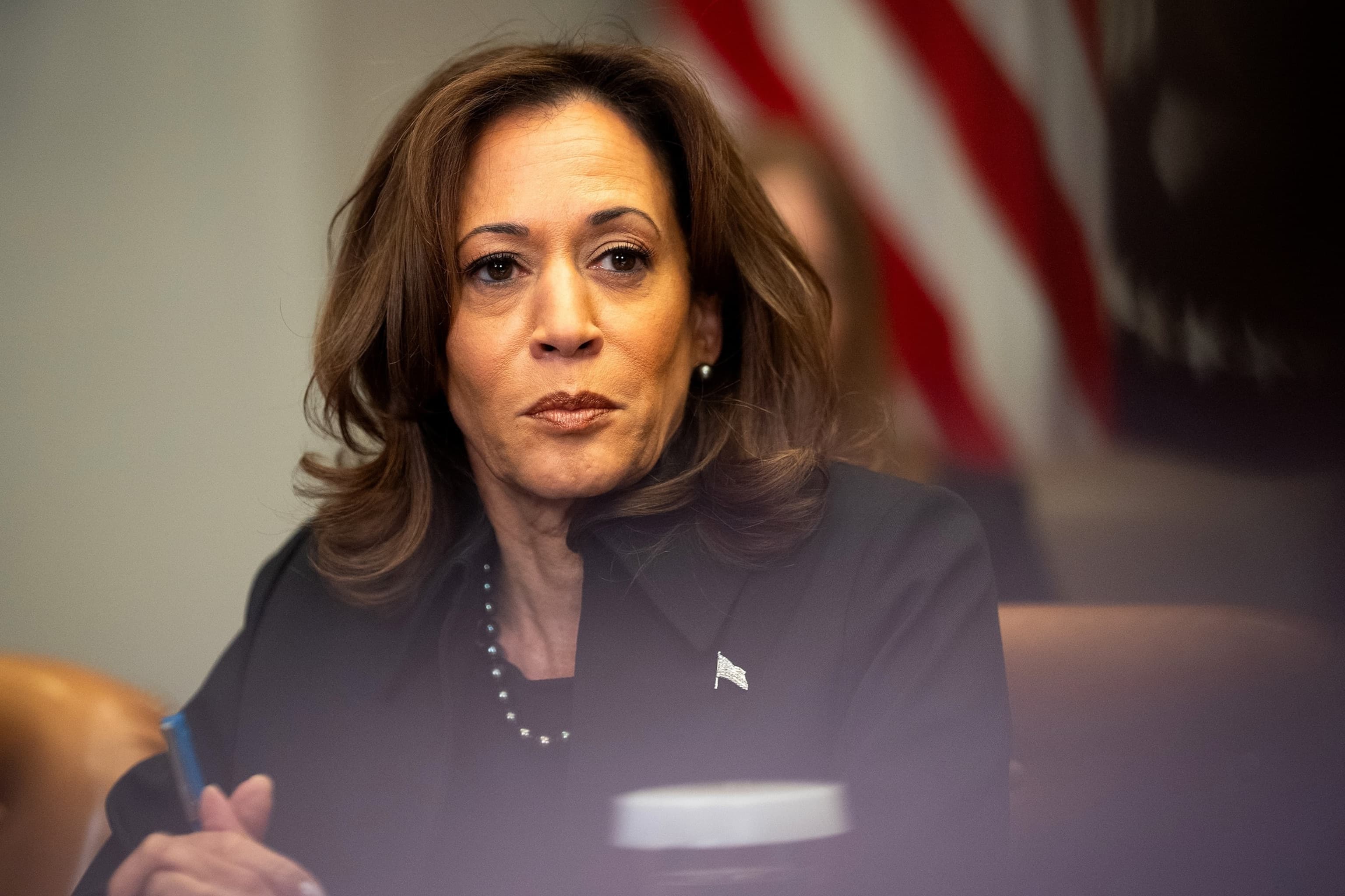 Image for Mixed Poll Results Emerge for Kamala Harris's 2028 Democratic Nomination Amid Newsom's Ascendancy