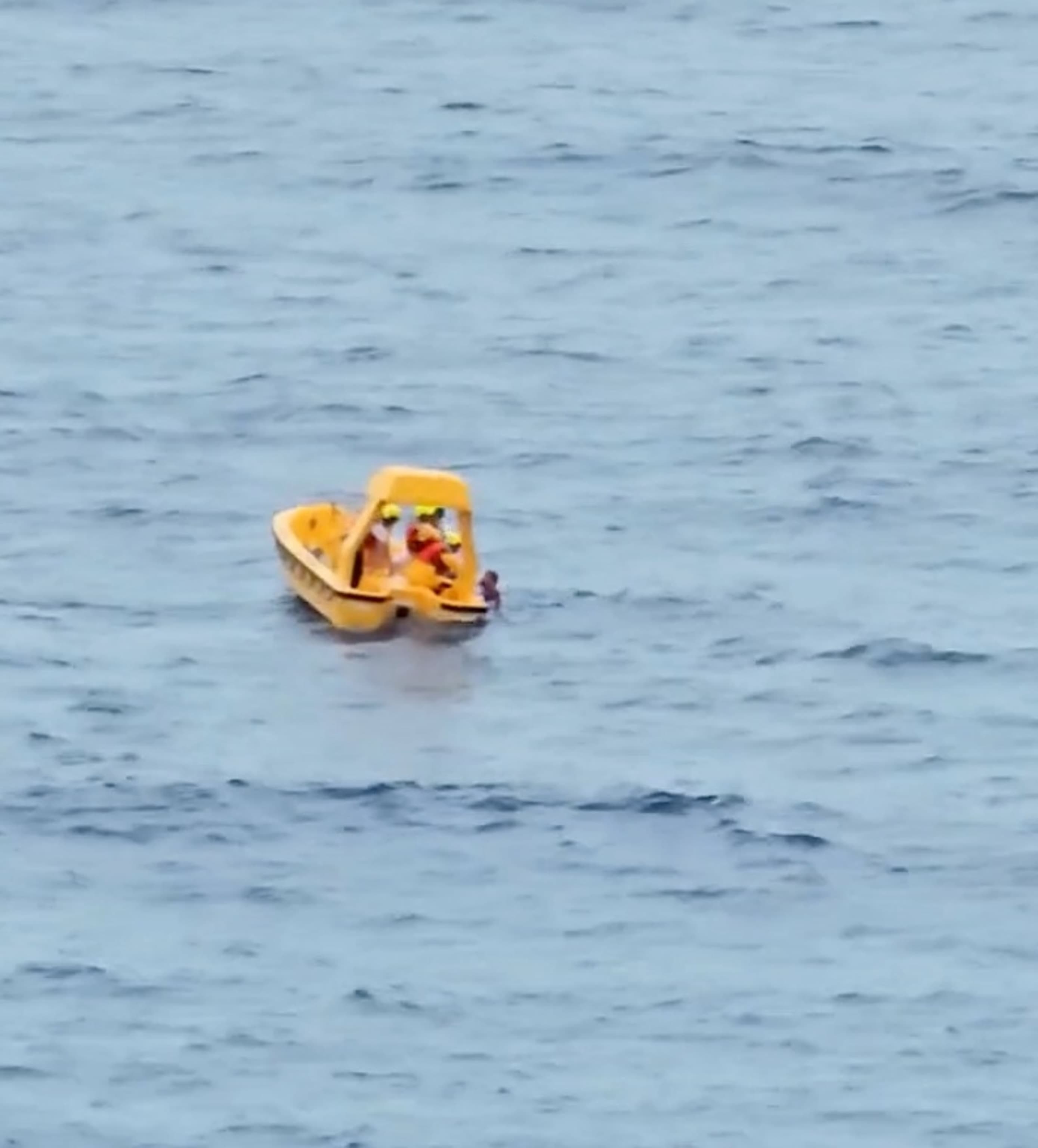 Image for Father and Daughter Rescued Minutes After Overboard Fall from Disney Dream Cruise Ship