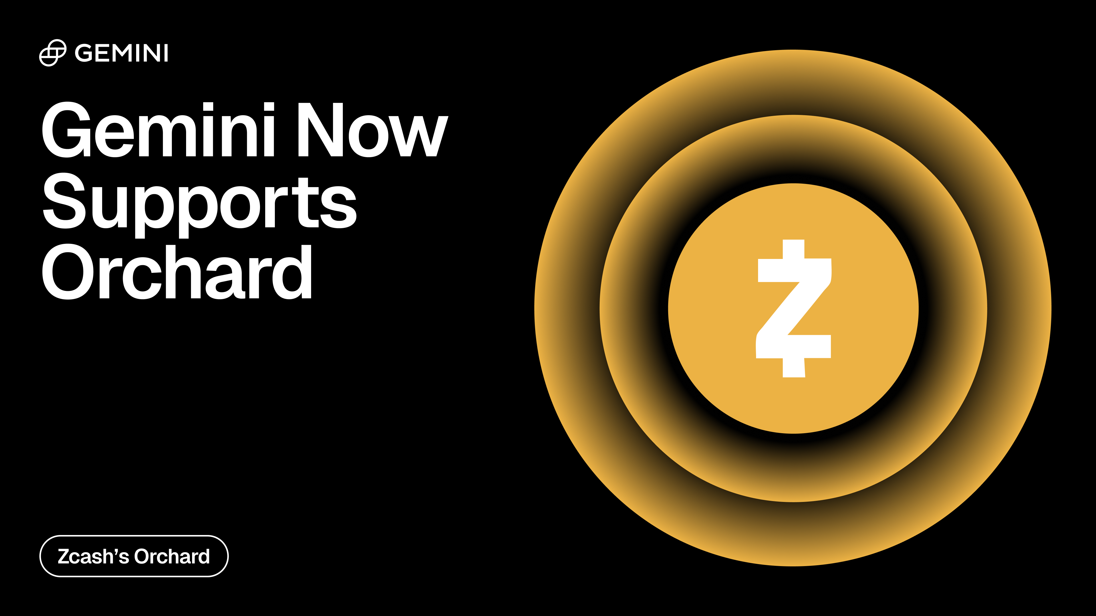 Image for Winklevoss-Backed Cypherpunk Technologies Targets 5% Zcash Supply with Gemini Custody