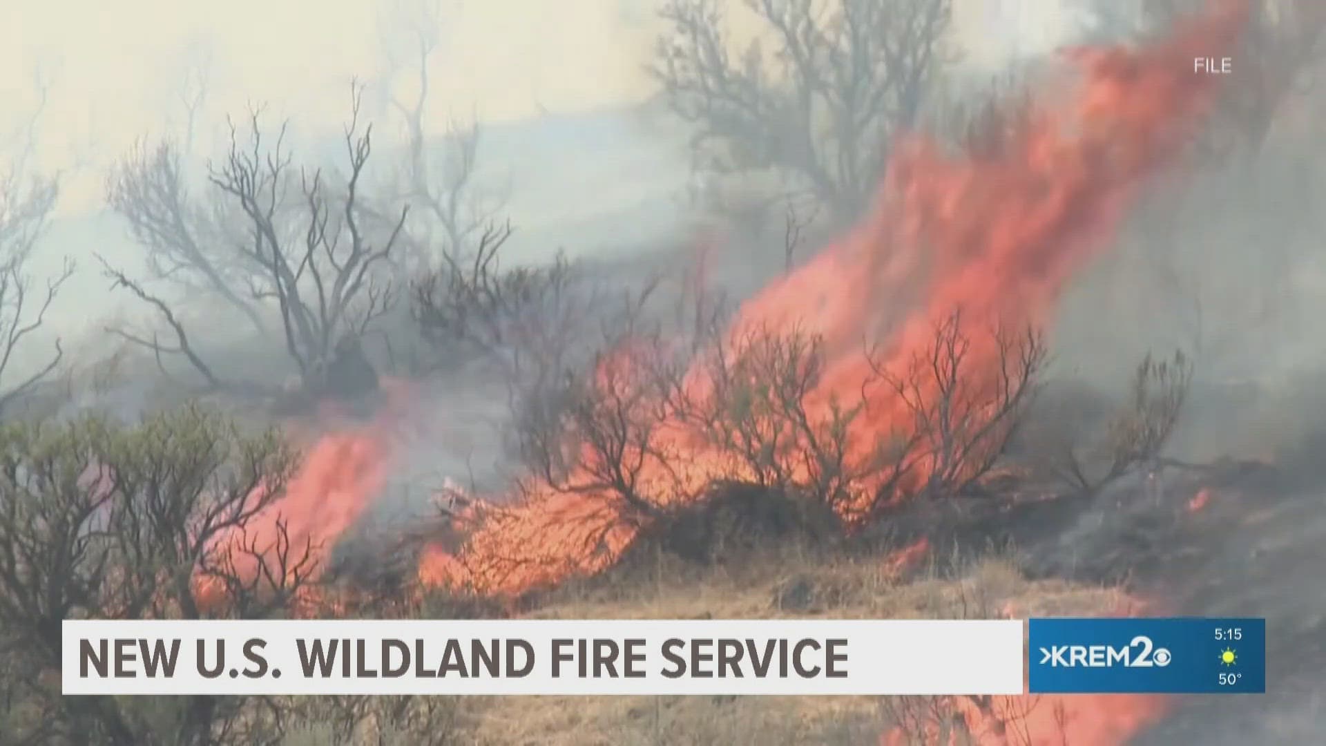 Image for U.S. Wildland Fire Service to Consolidate Federal Wildfire Efforts by January 2026