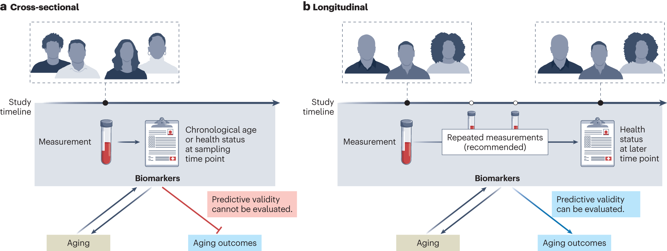 Image for Precision Medicine Poised for Significant Expansion in Aging and Lifestyle Disease Management