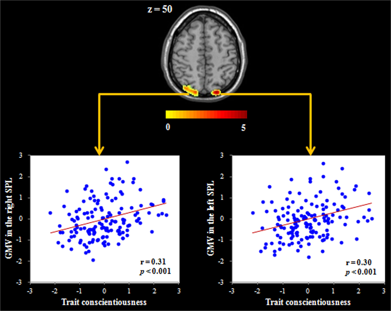 Image for Conscientiousness 46% More Predictive of Academic Success Than Other Big Five Traits