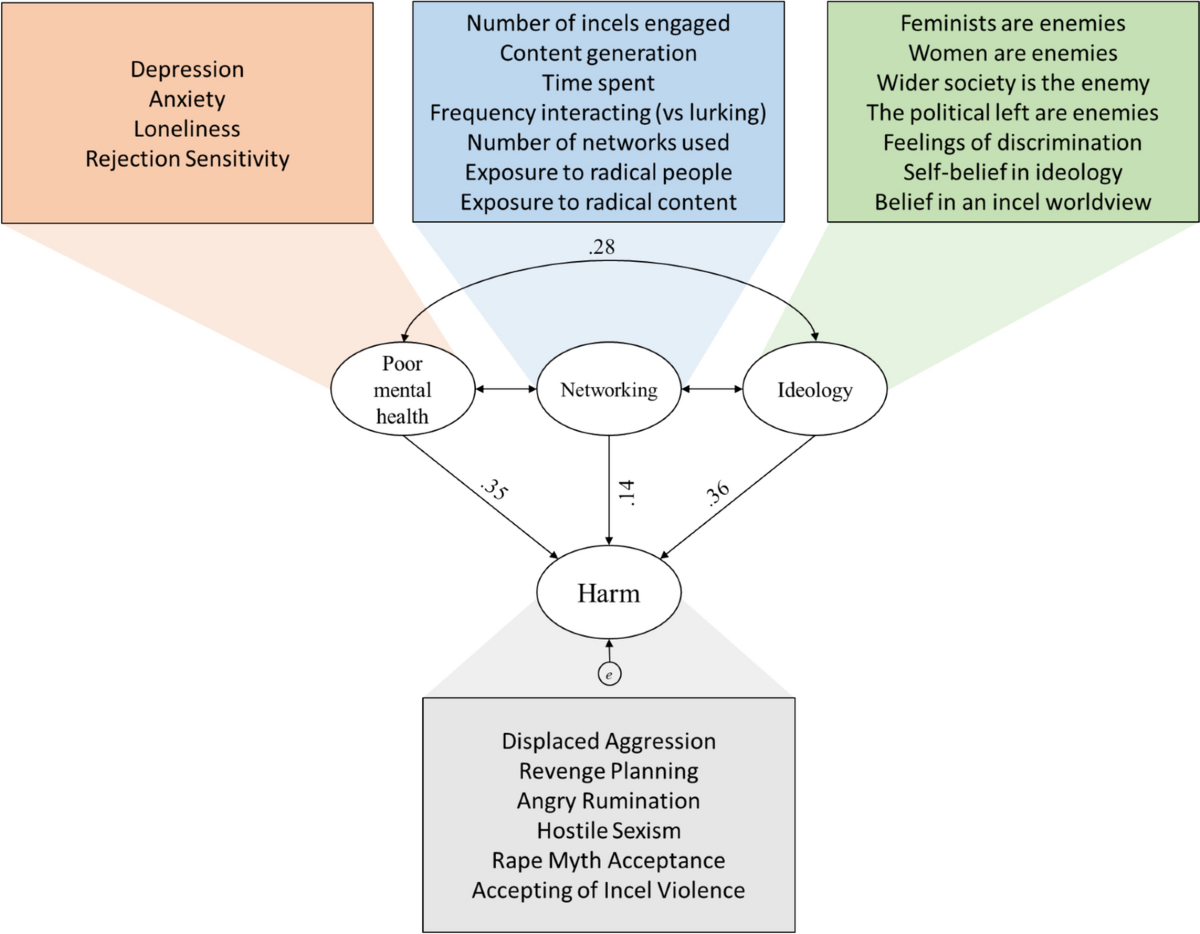 Image for Nearly 40% of Incel Community Report Daily Suicidal Thoughts, Major Study Reveals