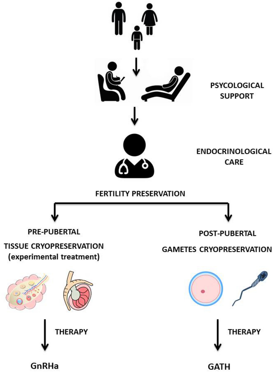 Image for Limited Long-Term Data Fuels Debate on Puberty Blockers' Impact on Child Fertility and Sexual Function