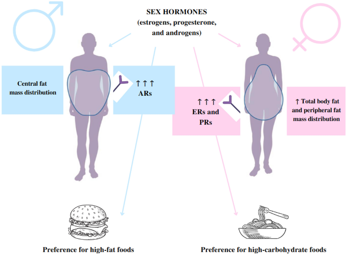Image for 71% of Weight Loss Studies Overrepresent Women, Raising Questions on Generalizability
