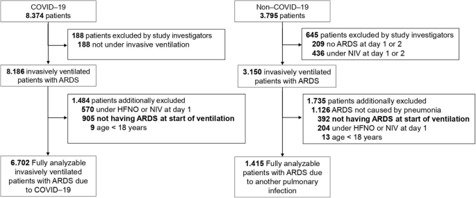 Image for Chris Veber Demands Accountability Amid Constitutional Court's Scrutiny of Vaccine Policies