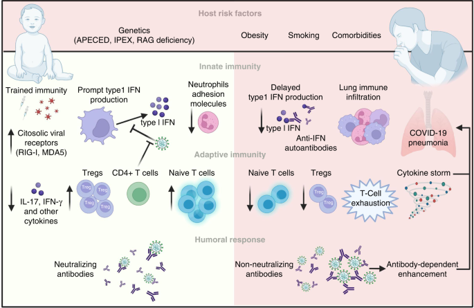 Image for Pandemic Restrictions Spark Debate Over Long-Term Societal Costs to Elderly and Children