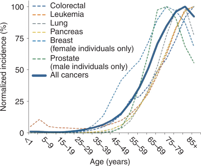 Image for Cancer Incidence Soars by Over 38-Fold from Young Adulthood to Senior Years, Driven by Accumulating Cellular Damage and Immune Decline