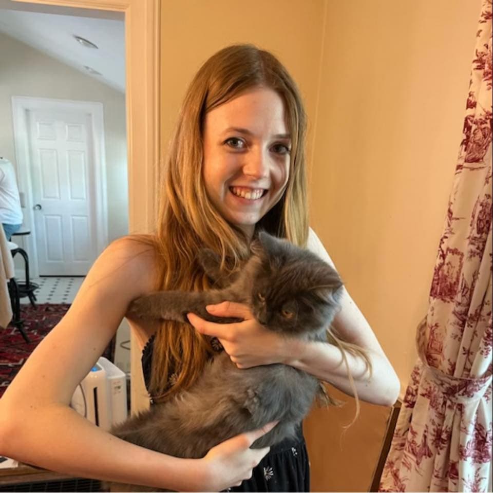 Image for Man with Over 70 Prior Arrests Charged in Chicago Train Arson Leaving Woman with 60% Burns