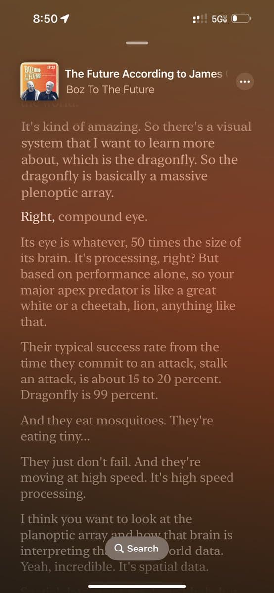 Image for James Cameron's 2025 Focus on Dragonfly Vision Highlights Biomimicry's Enduring Impact on Design