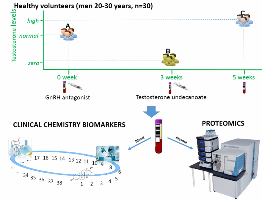 Image for Clinical Chemistry Study Reevaluates Low Total Testosterone Thresholds