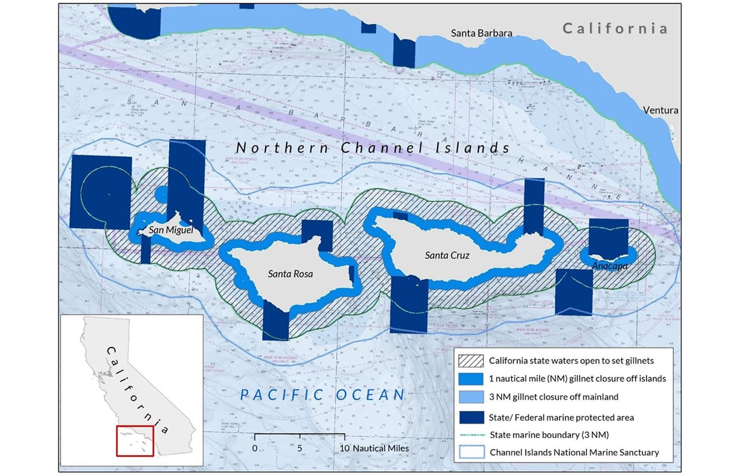 Image for California Moves to Phase Out Gillnets, Sparks Debate on Commercial Fishing Support
