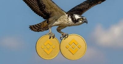 Image for Rex-Osprey Files for BNB Staking ETF as BNB Hits New Highs Above $882