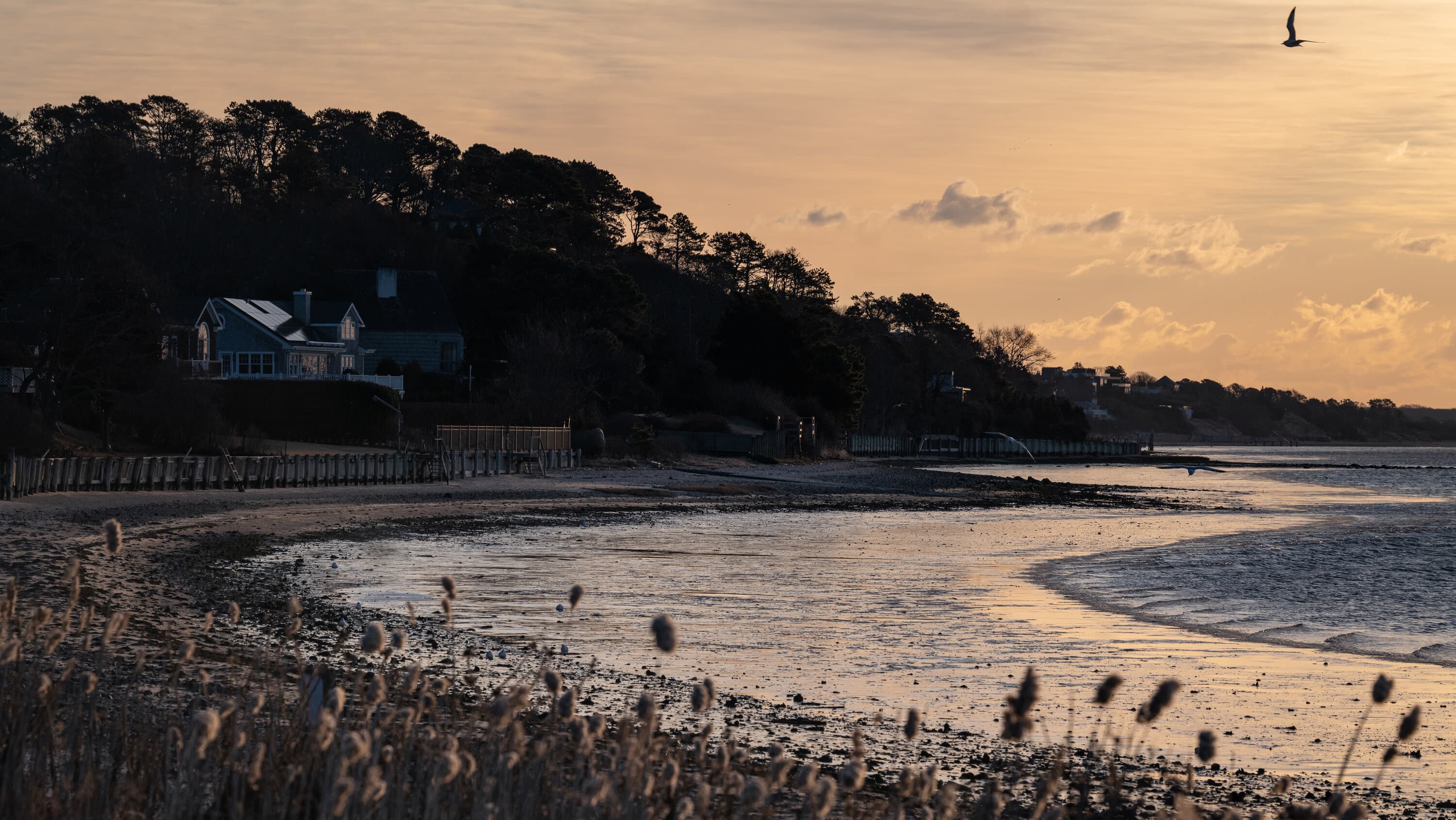 Image for Immigration Enforcement Fears Impact Hamptons Economy, Slowing Traffic