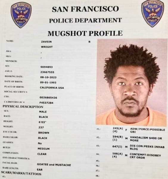 Image for San Francisco Judges Face Scrutiny Over Releases Due to Prosecutorial Delays