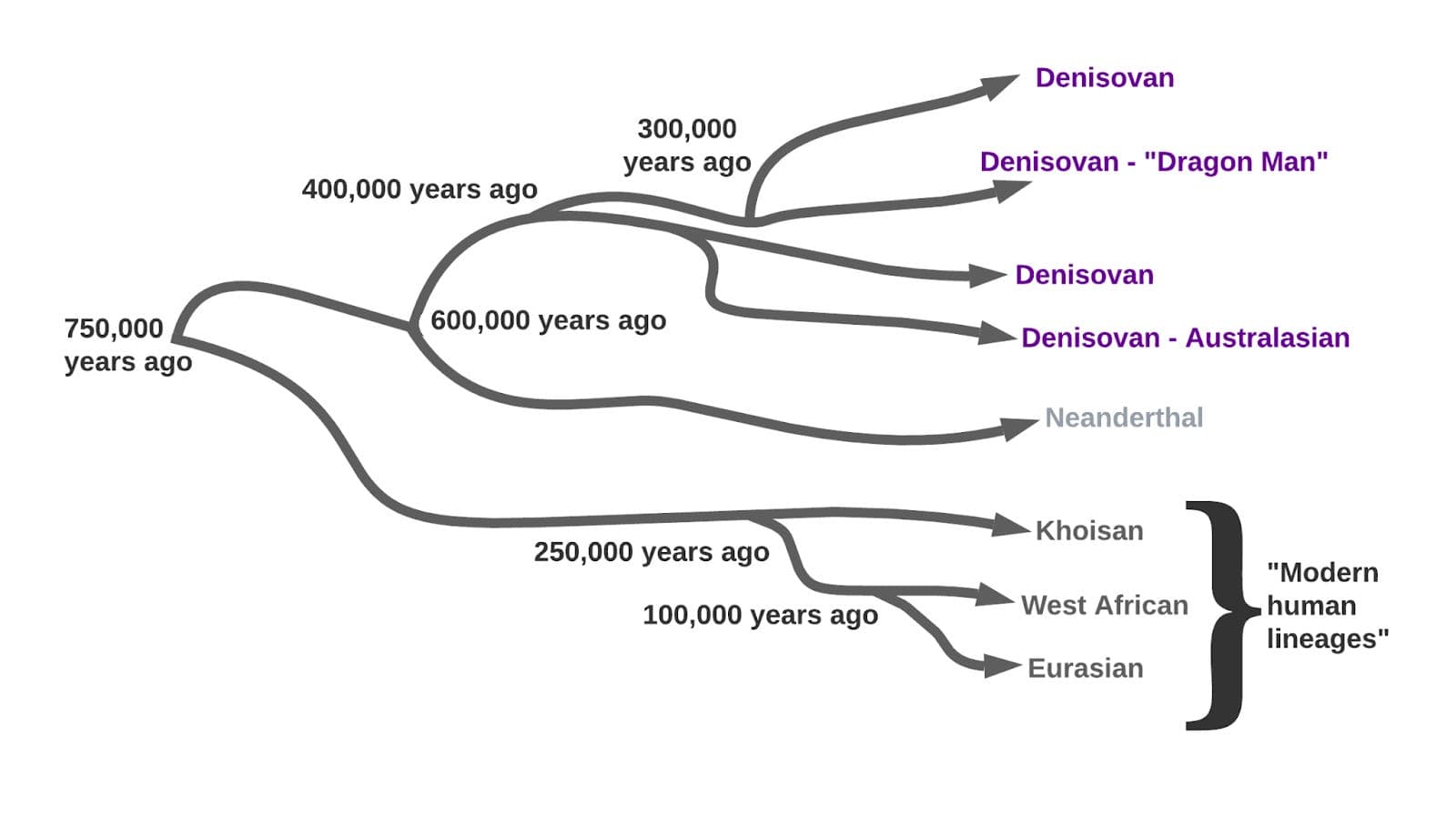 Image for Geneticist Razib Khan Highlights "Greatest Genetic Coincidence" in Human History