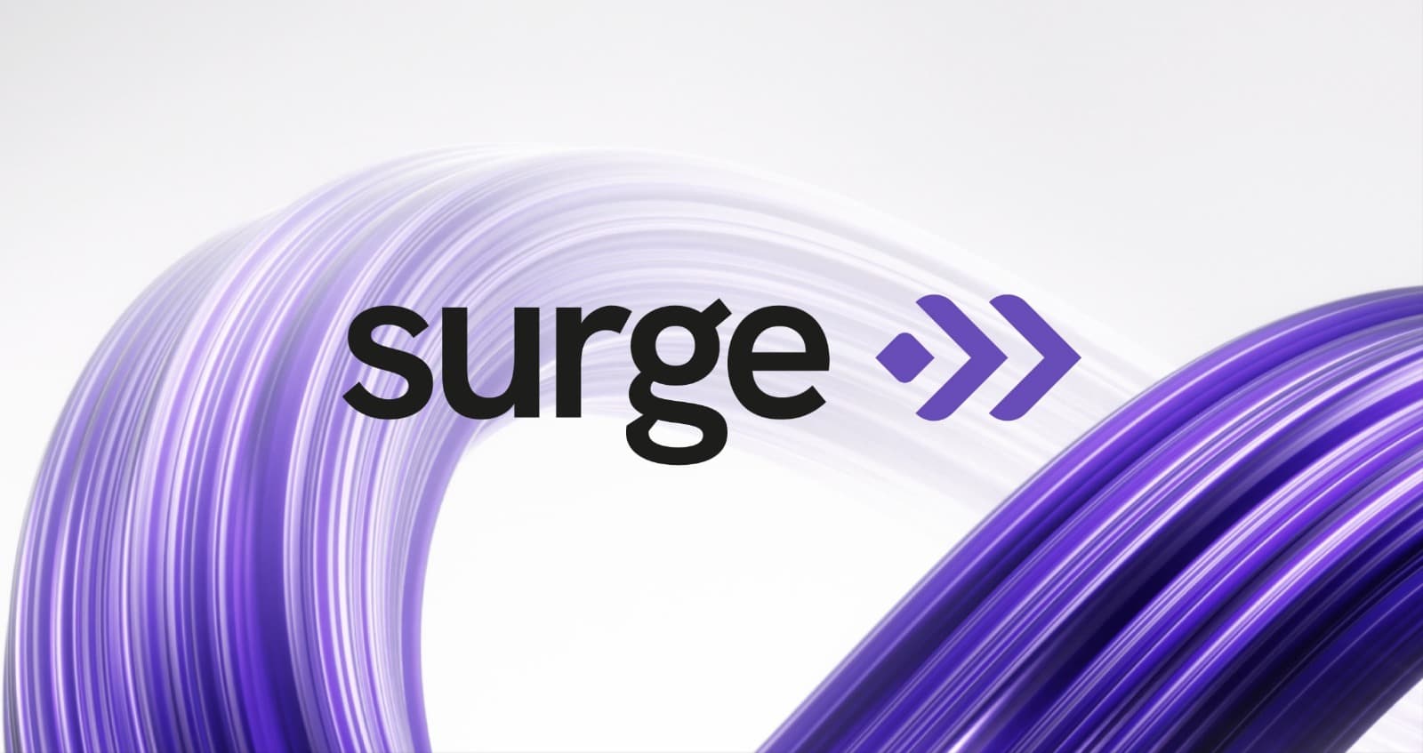 Image for Surge Fund: 10 Key Things You Must Know