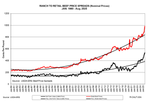 Image for US Cattle Herd Shrinks to Smallest in Decades, Driving Beef Prices Up