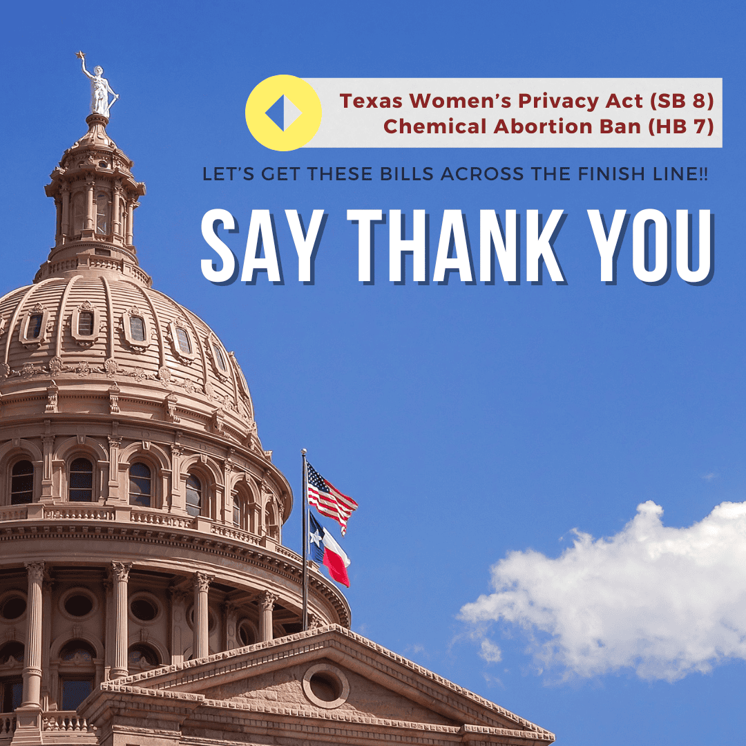 Image for Texas House Advances Bill Allowing $100,000 Lawsuits Against Out-of-State Abortion Pill Providers