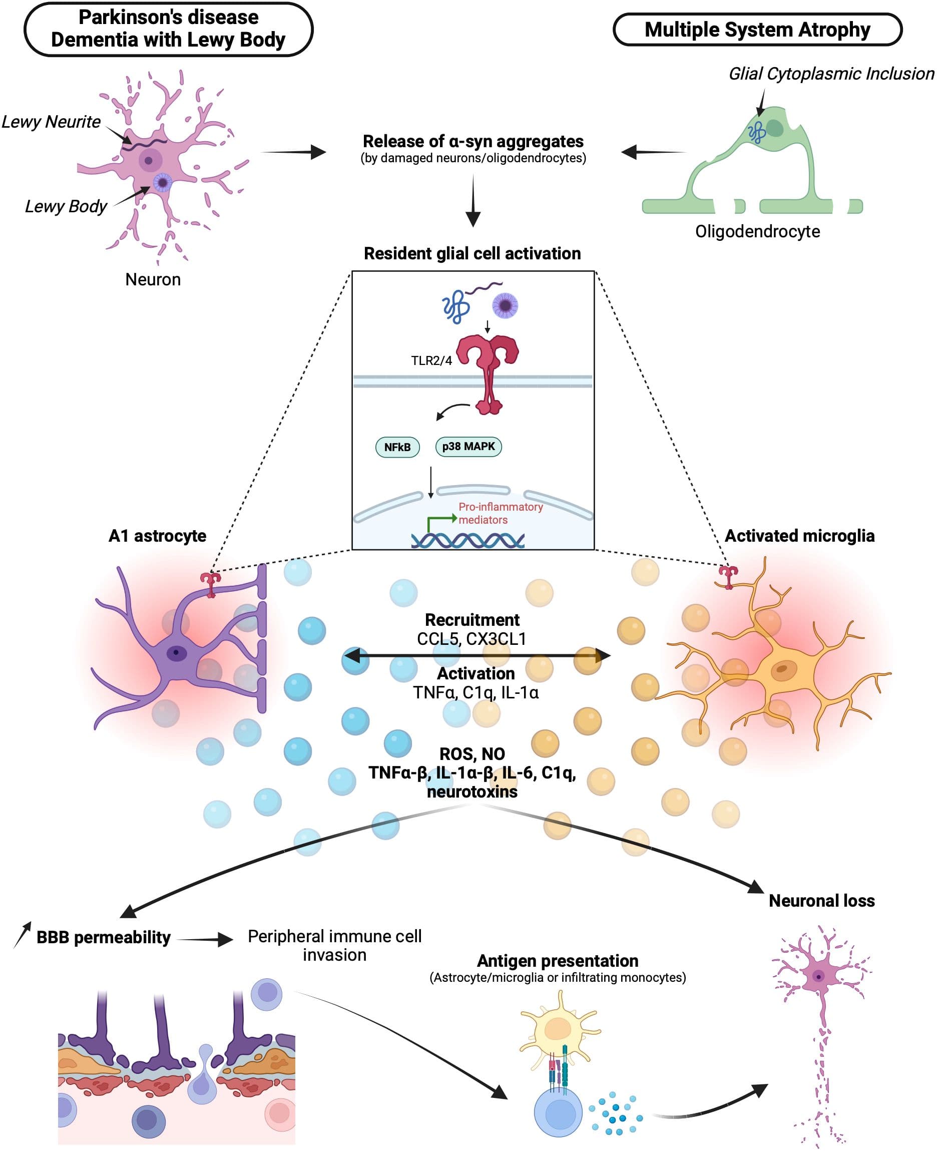 Image for FDA Scrutiny Intensifies as Unapproved Peptide Use Surges Amid Influencer Endorsements