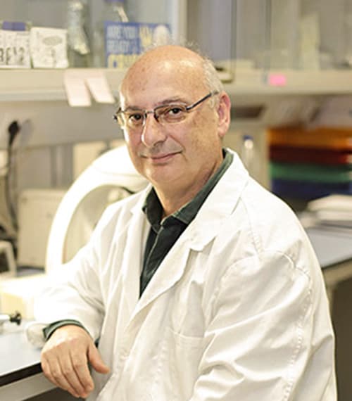 Image for CRISPR's Foundational Paper Faced Four Journal Rejections, Delayed Publication by Two Years