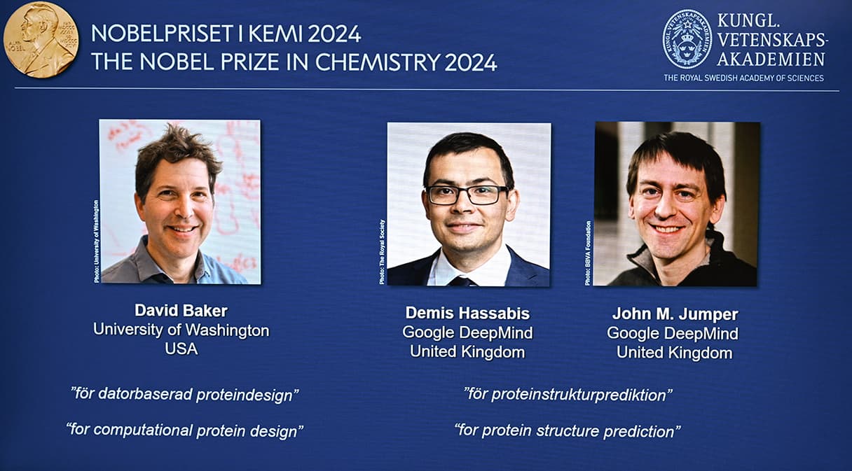 Image for AlphaFold's AI-Powered Prediction of 200 Million Protein Structures Earns Google DeepMind's Hassabis and Jumper 2024 Chemistry Nobel