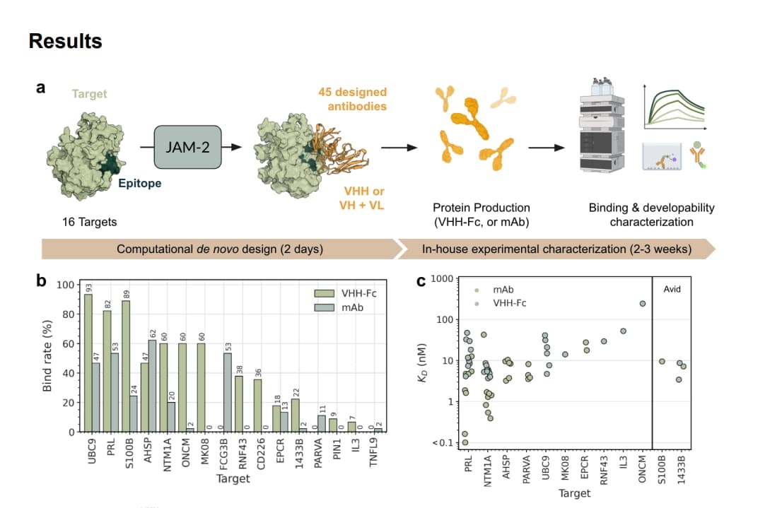 Image for Nabla Bio's JAM-2 System Demonstrates Superior Monovalent Antibody Binding Over CHAI-2